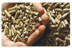 icono biomasa