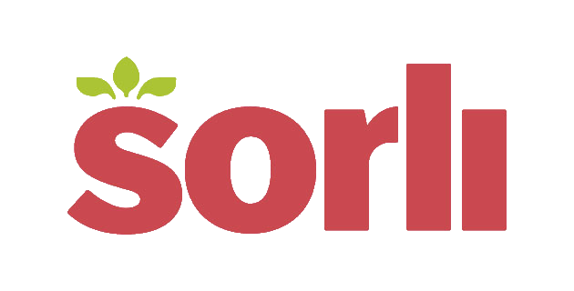 PROYECTO TIENDAS  SORLI